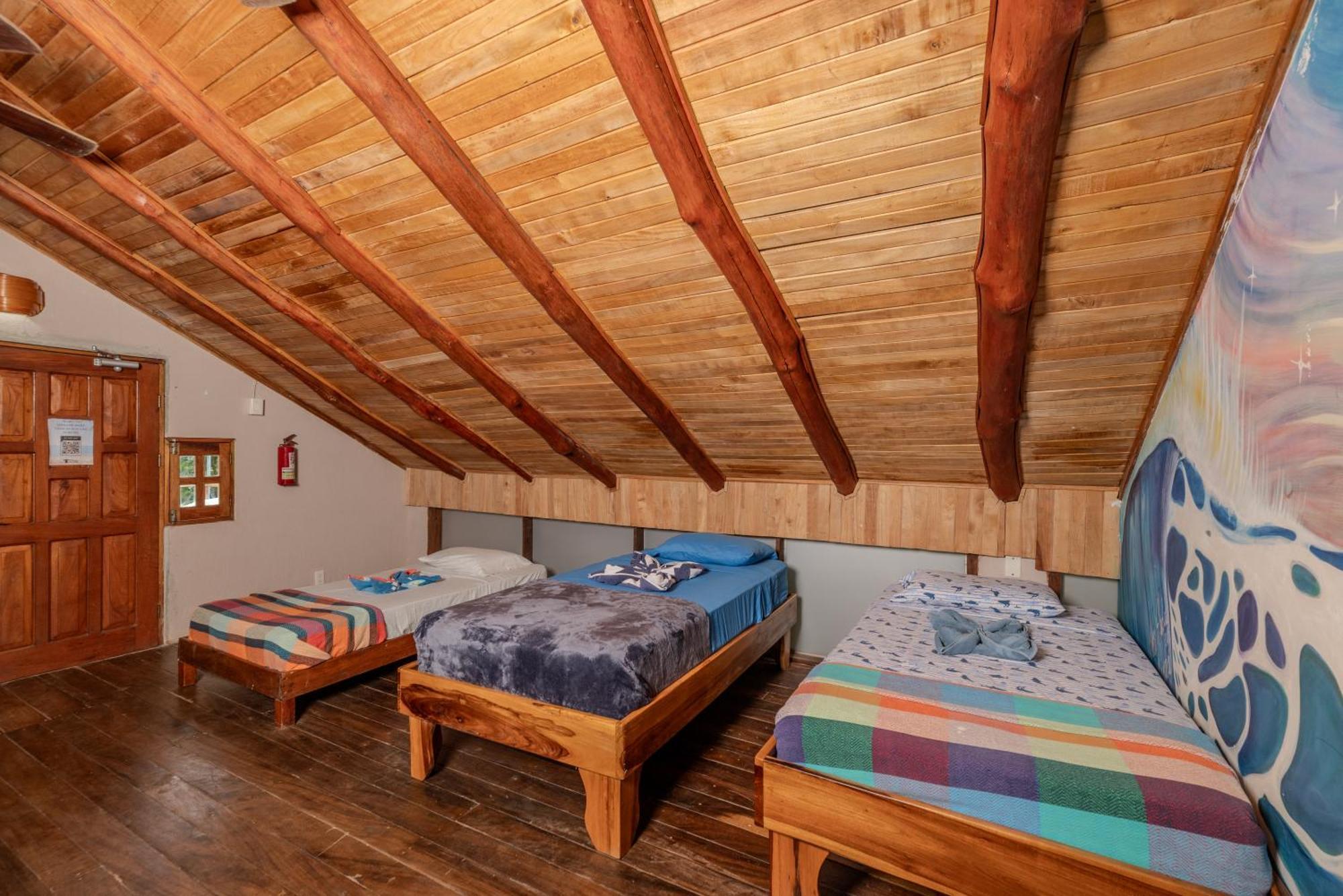 הוסטל Playa Grande Surf Camp חדר תמונה